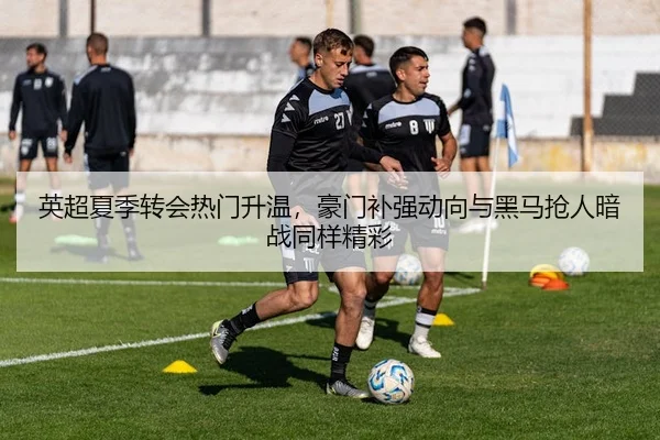 英超夏季转会热门升温，豪门补强动向与黑马抢人暗战同样精彩 - huya